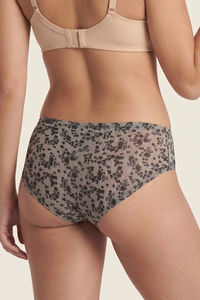 Zivame Regular Rise Full Coverage Hipster Panty (Pack of 3) - Multicolor — thumbnail 11